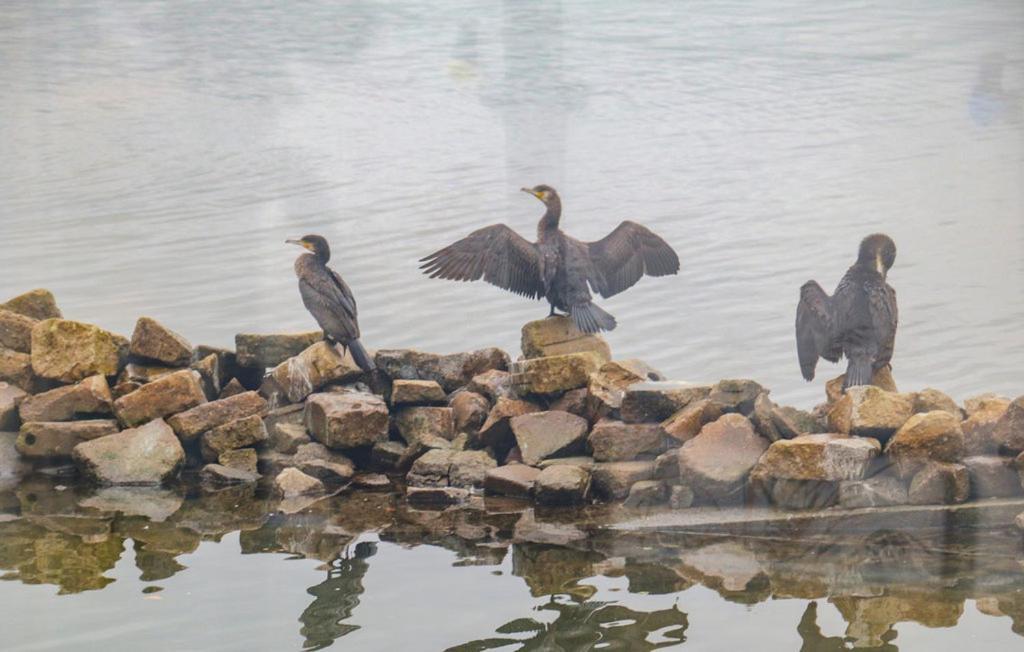 Houseboat Uitzicht Over Veluwemeer, Natuurlokatie, Prachtige Vergezichten Biddinghuizen Kültér fotó